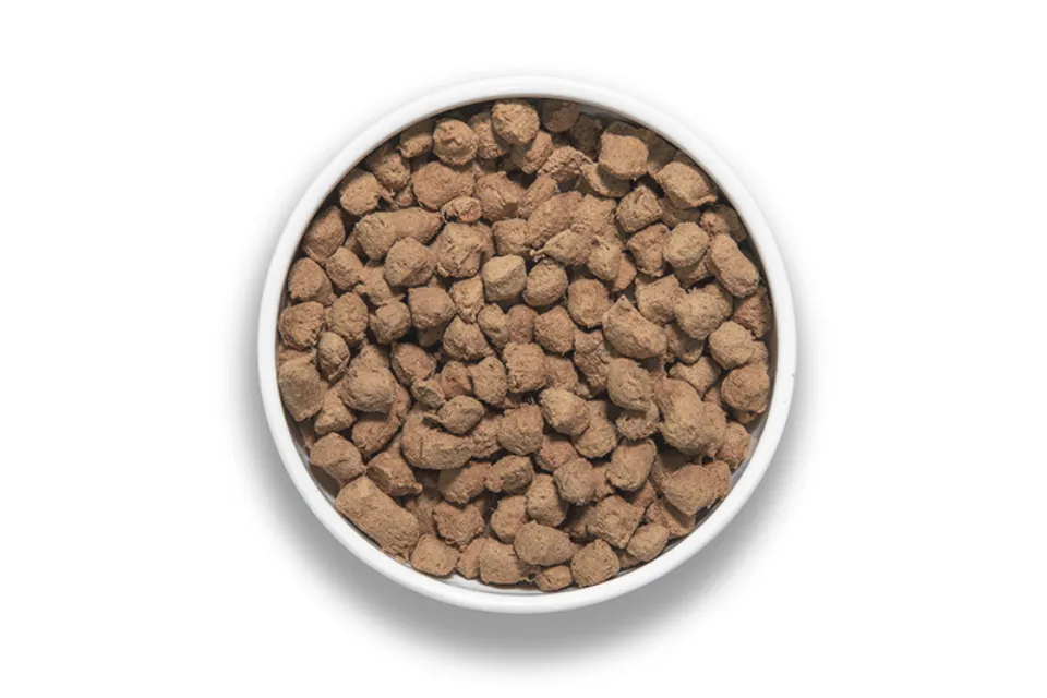 Pros of Freeze-Dried Dog Food